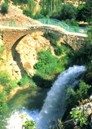 nteraktif Yarma